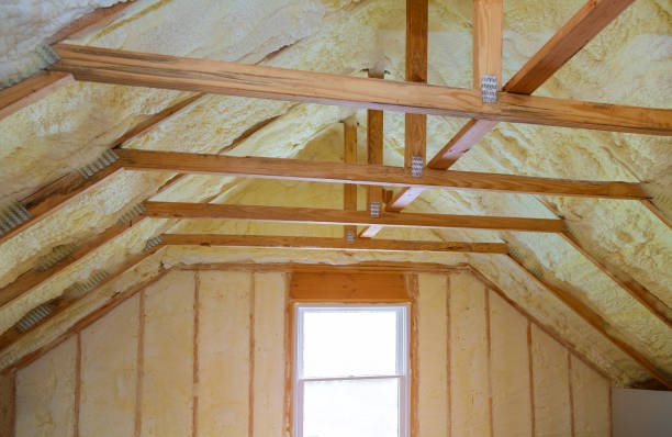 Best Insulation Maintenance and Repair in Lithonia, GA