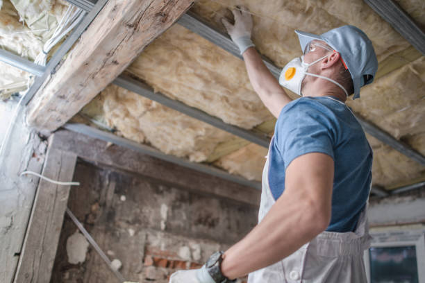 Best Geographic-Specific Insulation Services in Lithonia, GA