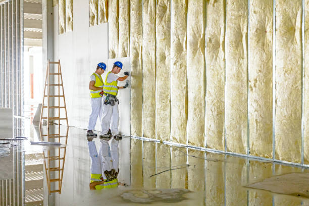 Best Specialized Insulation Services in Lithonia, GA
